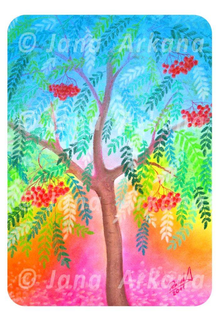 jeřabina, harmonické bytí